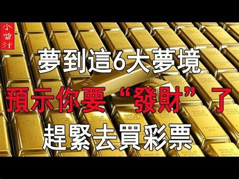 小鳥代表幾號|【夢見鳥號碼】夢見鳥也有好彩頭？夢境解構報你知！。